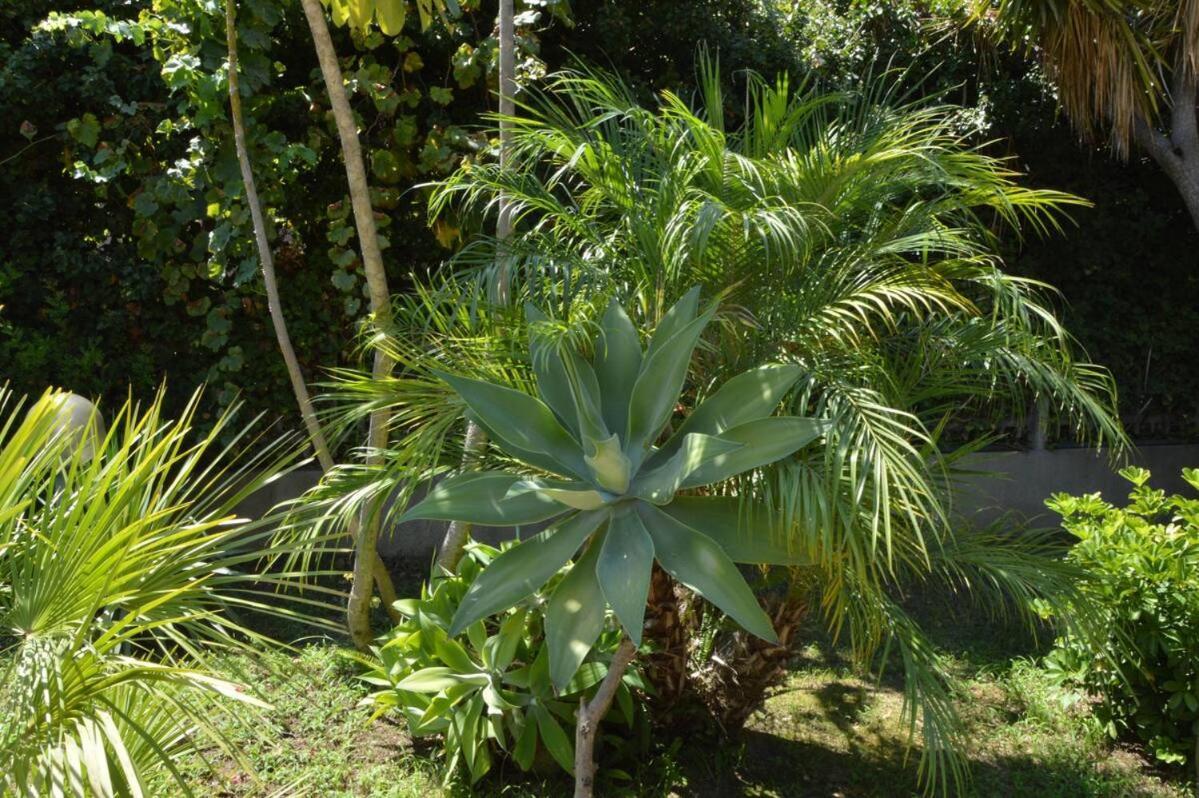 Casa Vacanze Rocco อาร์บาตักซ์ ภายนอก รูปภาพ